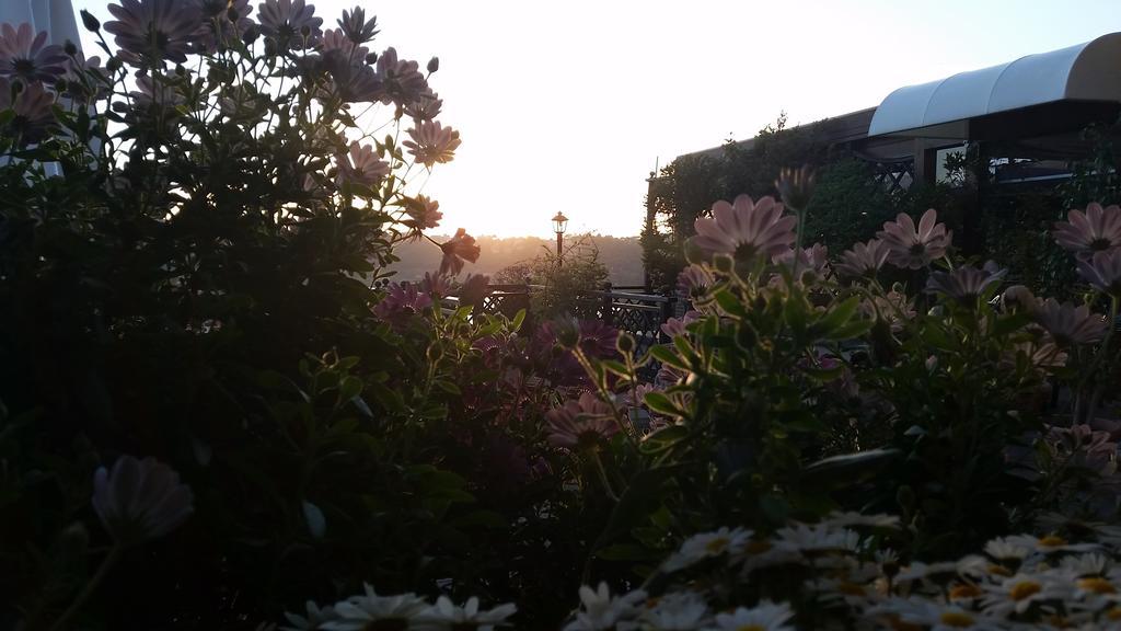 Hotel Villa Degli Angeli Castel Gandolfo Eksteriør billede